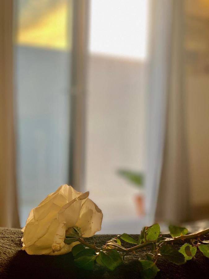 Loft La Isla Apartment Плая Бланка Екстериор снимка